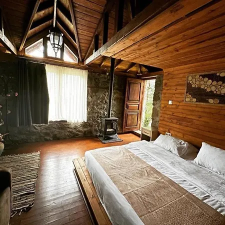 Hotel My Boutique 3*